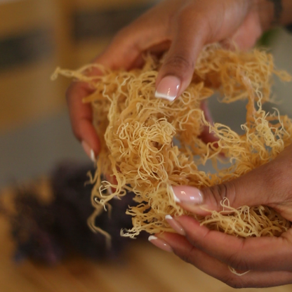 Raw Golden Sea Moss